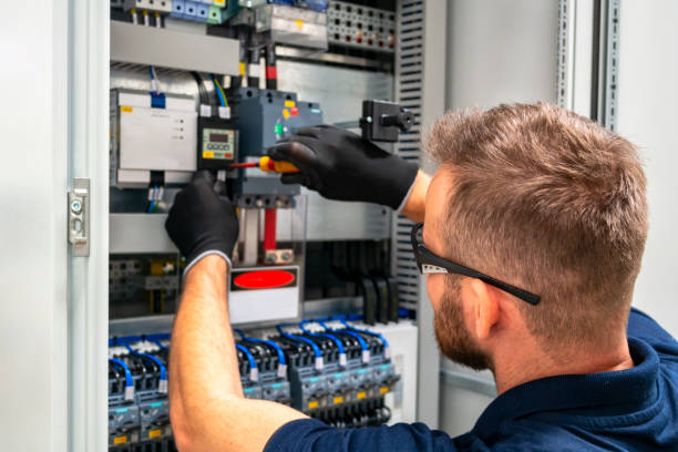 Best Electric Panel Repair  in Maple Grove, MN